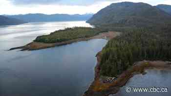 2 First Nations in B.C. withdraw legal challenge of Ksi Lisims LNG project