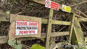 Locals cheer as council removes fences blocking bridleway following bitter six-year legal battle - although owner threatens to take the case to European Court of Human Rights
