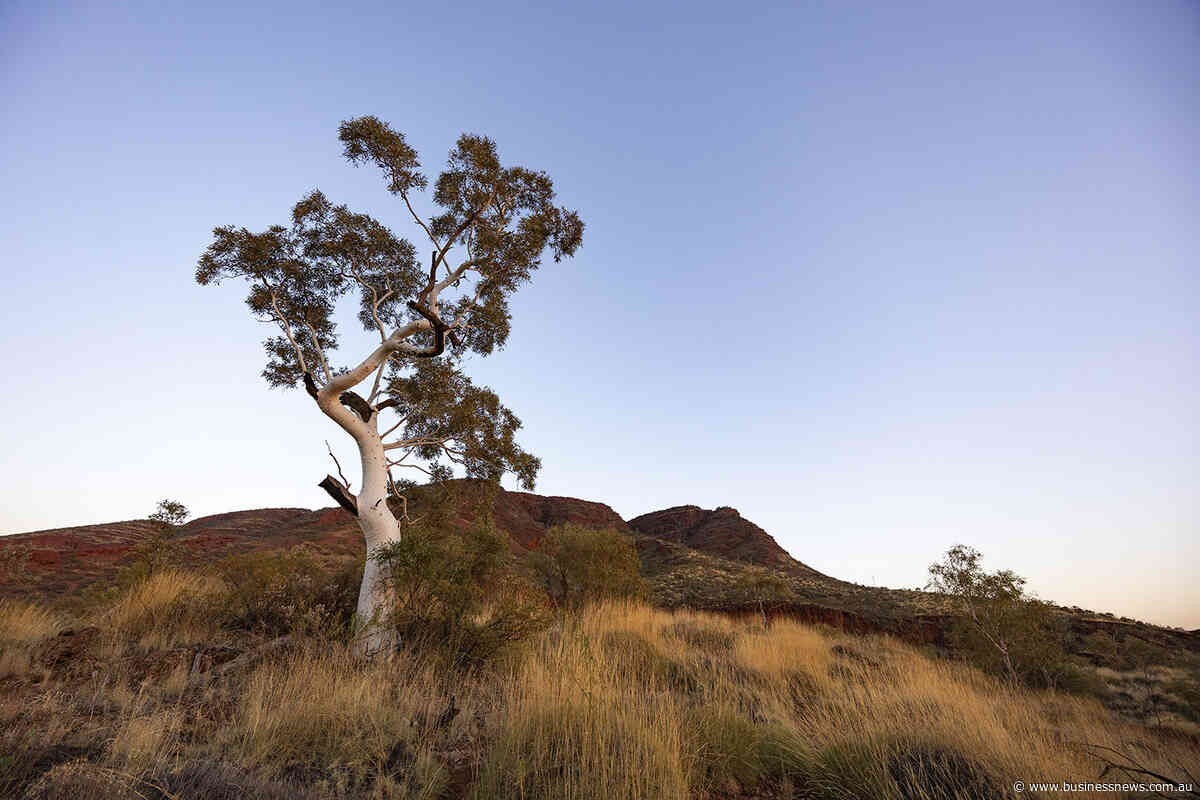 ‘Predatory’ consultants targeted in Aboriginal heritage review