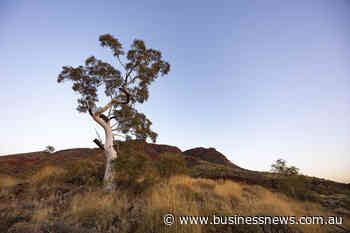 ‘Predatory’ consultants targeted in Aboriginal heritage review