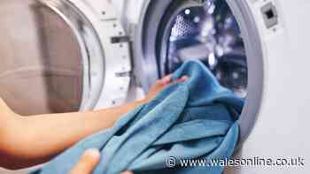 Towels will be 'soft and fluffy' when cleaned with housekeeper's favourite staple