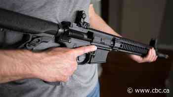 Feds extend amnesty period for firearms ban pending Supreme Court ruling