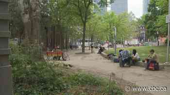 City staff to look at Barbara Hall Park after concerns raised over violence, vandalism