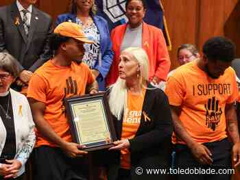Community activists discuss ways to fight gun violence in Toledo