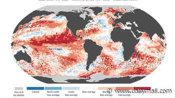 Last month was the second-hottest May on RECORD - with all the signs pointing to a Super El Niño in the 'coming months'