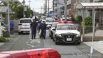 Japanese city captures bear that caused fear and school closures
