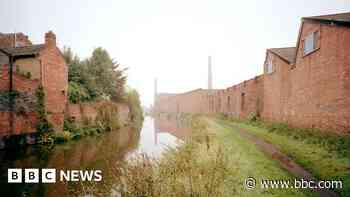 Youths allegedly seen killing birds with catapult