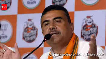 Bengal cabinet portfolio allocation soon, assure BJP seniors