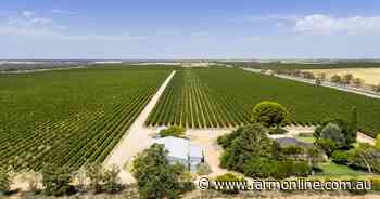 Woolpunda Vineyard presented as a standalone opportunity with flexibility