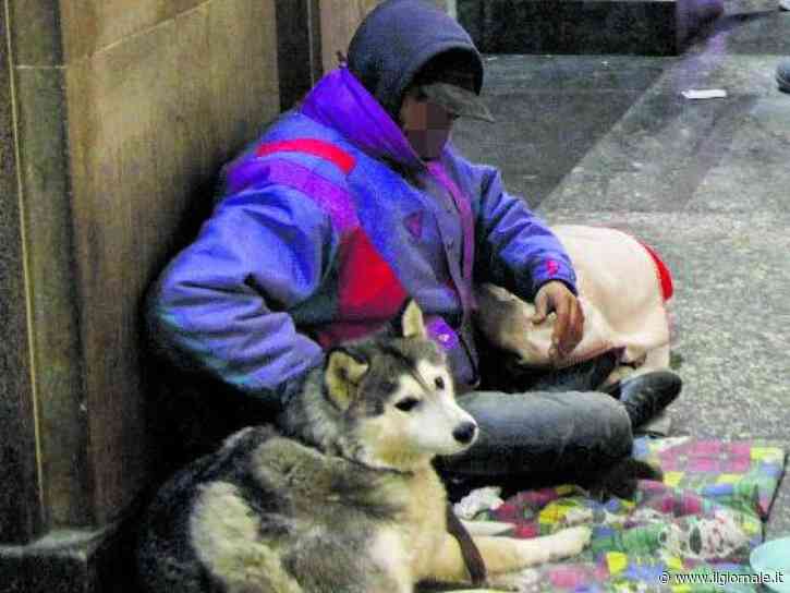 Accattonaggio con i cani, la legge è ferma in Regione