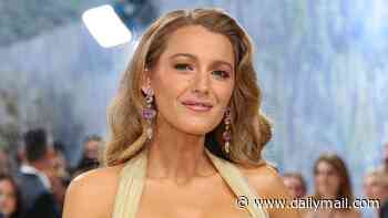 Blake Lively flaunts VERY flashy Knicks-inspired Hermes bag as she demands 'significant' damages from Justin Baldoni over settled court war