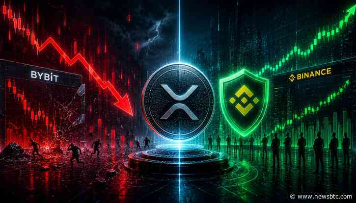 XRP Leverage Flush Hits Bybit While Binance Holds The Line – Analyst Explains Rare Setup