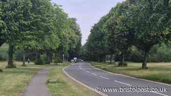 Dog killed on busy road through Bristol Downs leads to renewed calls for traffic restrictions