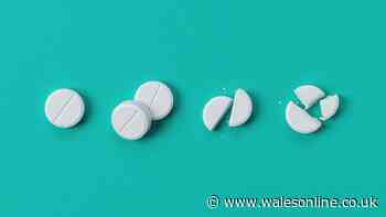 Ibuprofen and paracetamol warning for anyone with a dog or cat