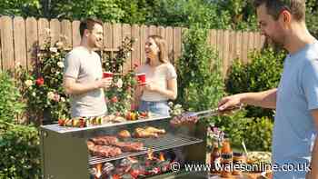 Portable BBQ 'the best I've ever owned' now £31.50 ahead of World Cup parties