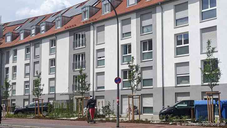 Nach jahrelangem Streit: Erste Bäume in der Memmelsdorfer Straße gepflanzt