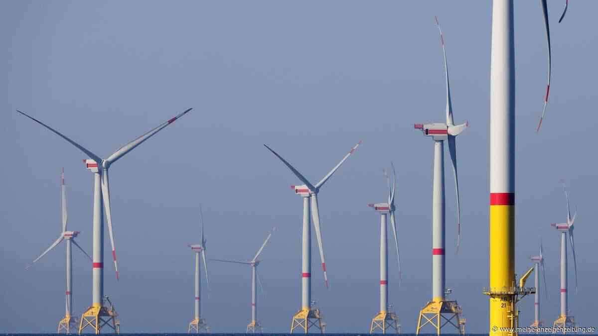Windstrom im Überfluss – trotzdem Rekordpreise: Ein Bundesland will Strompreis-Irrsinn beenden