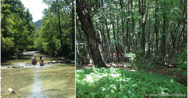 Una nuova diga minaccia il Parco nazionale delle Foreste Casentinesi, a rischio l’area protetta. Legambiente: “L’acqua non è merce di scambio”