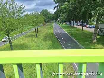Bomen snoeien aan Stationsdreef en Visarenddreef