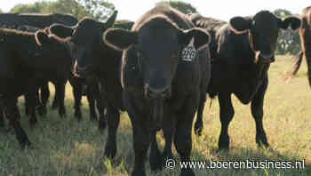 Vleessector VS in rep en roer door schroefworm
