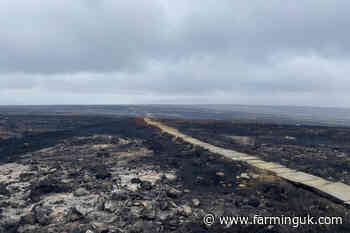 Farmers praised as North York Moors wildfire recovery gets £3.2m boost