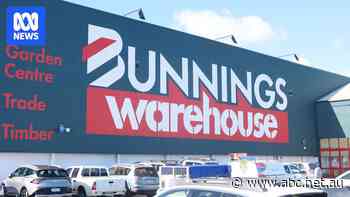 Why Bunnings moving a store 10km down the road has caused such a stir