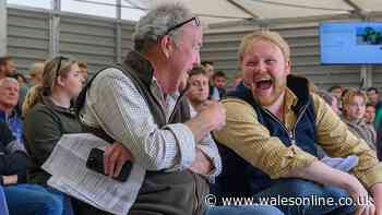 Clarkson's farm season 5 episode 7 release date: When is the next episode out?