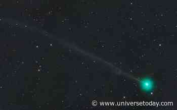 Catch Comet 220P McNaught in Outburst