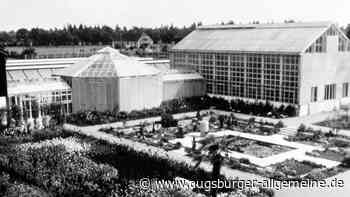 Der Botanische Garten in Augsburg wird 90 Jahre alt: Fest mit Gratiseintritt am Sonntag