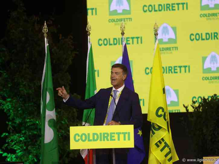L'allarme di Coldiretti: "Fermiamo i trafficanti di olio e grano duro, difendiamo il Made in Italy"