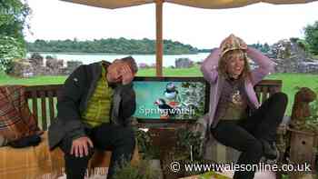 Springwatch's Chris Packham puts head in hands as he tells co-star 'you've ruined it'
