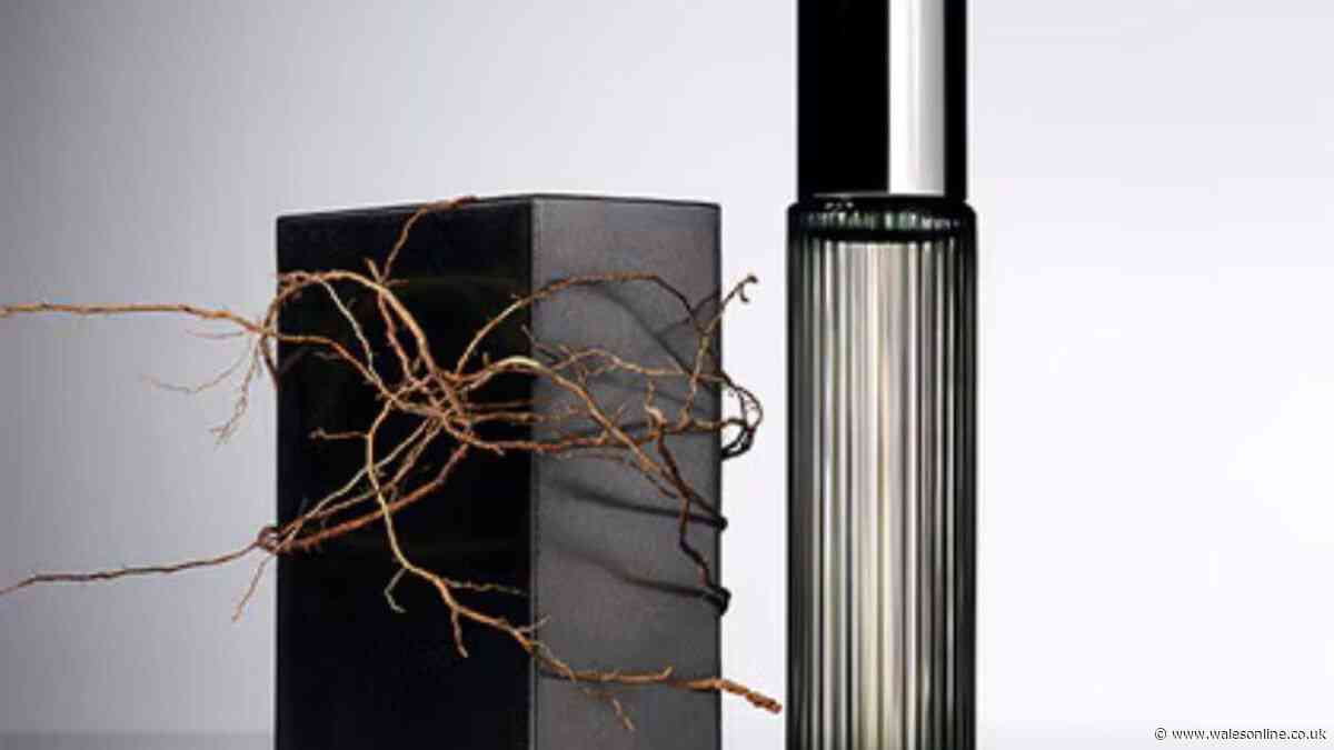 'Distinctive and classy' Tom Ford scent is £13.50 in 24-hour Father's Day deal