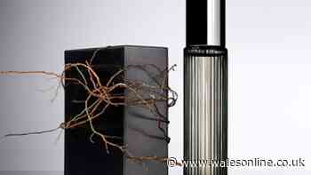 'Distinctive and classy' Tom Ford scent is £13.50 in 24-hour Father's Day deal