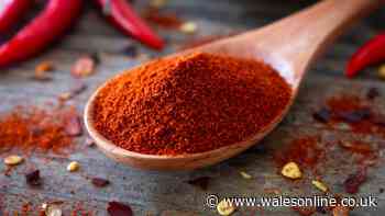 Welsh gardeners urged to scatter chilli powder in their gardens in June