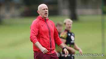 Wales call in youngsters to train as Steve Tandy casts his eye and welcome sight spotted