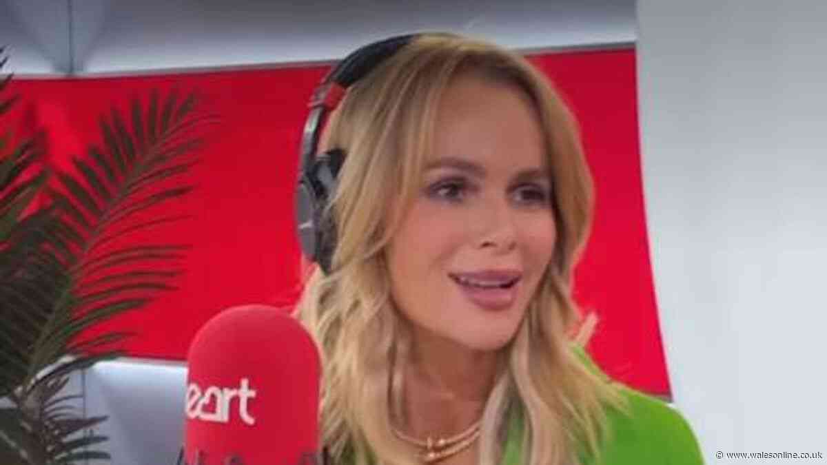 Amanda Holden branded 'disgusting' after '10 times a day' marriage admission