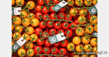 Le Jardin de Rabelais lanceert 100-gram tomaten voor groeiende snackmarkt