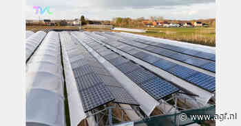 Zonnepanelen worden boven landbouwgronden geplaatst bij pcfruit