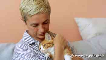 So ticken Katzenmenschen: Was Ihre Tierliebe über Ihre Persönlichkeit verrät