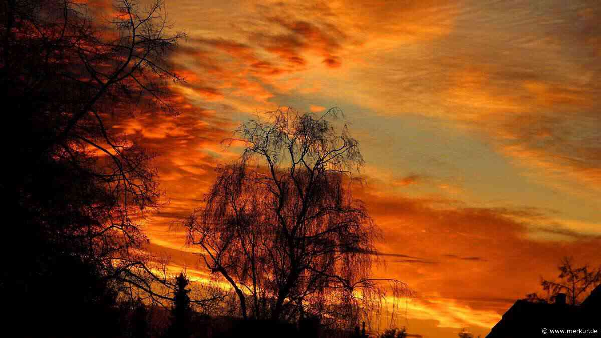 Bauernregel zum 11. Juni: „Nach Barnabas die Sonne weicht“ – doch wann kehrt sie zurück?