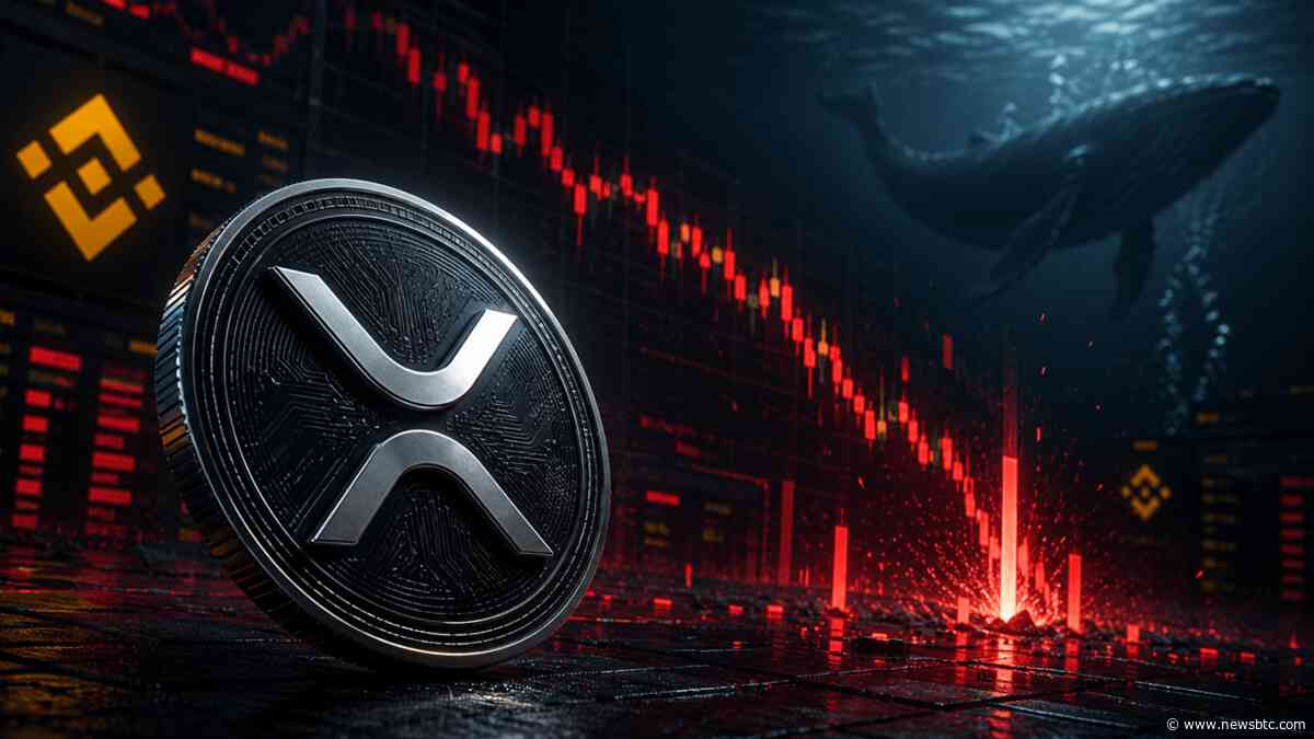 XRP Sell-Off Driven By Liquidations, Not Whale Dumping: On-Chain Data