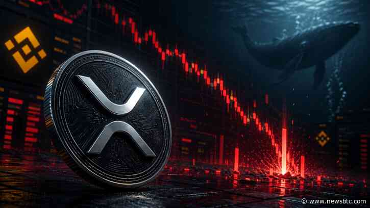 XRP Sell-Off Driven By Liquidations, Not Whale Dumping: On-Chain Data