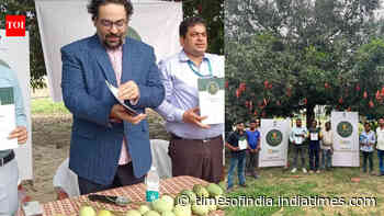 'Aamar Malda': Malda district plans mega mango tourism circuit to put region on global map