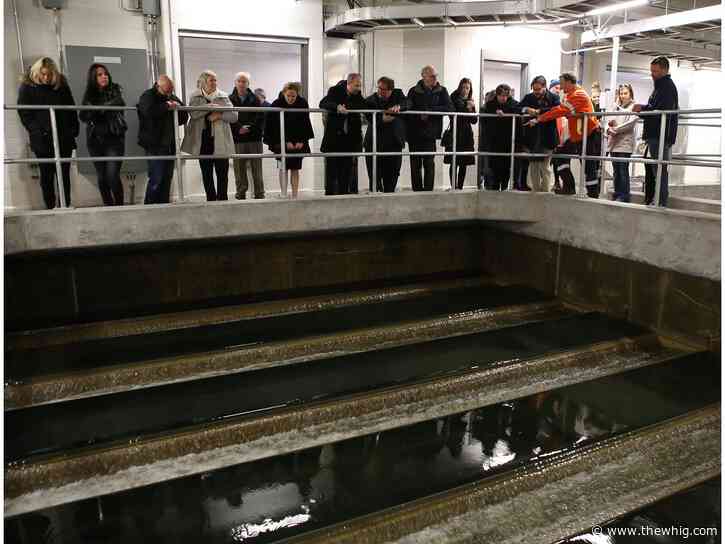 Citizens coalition raises alarm about Kingston's water system plan