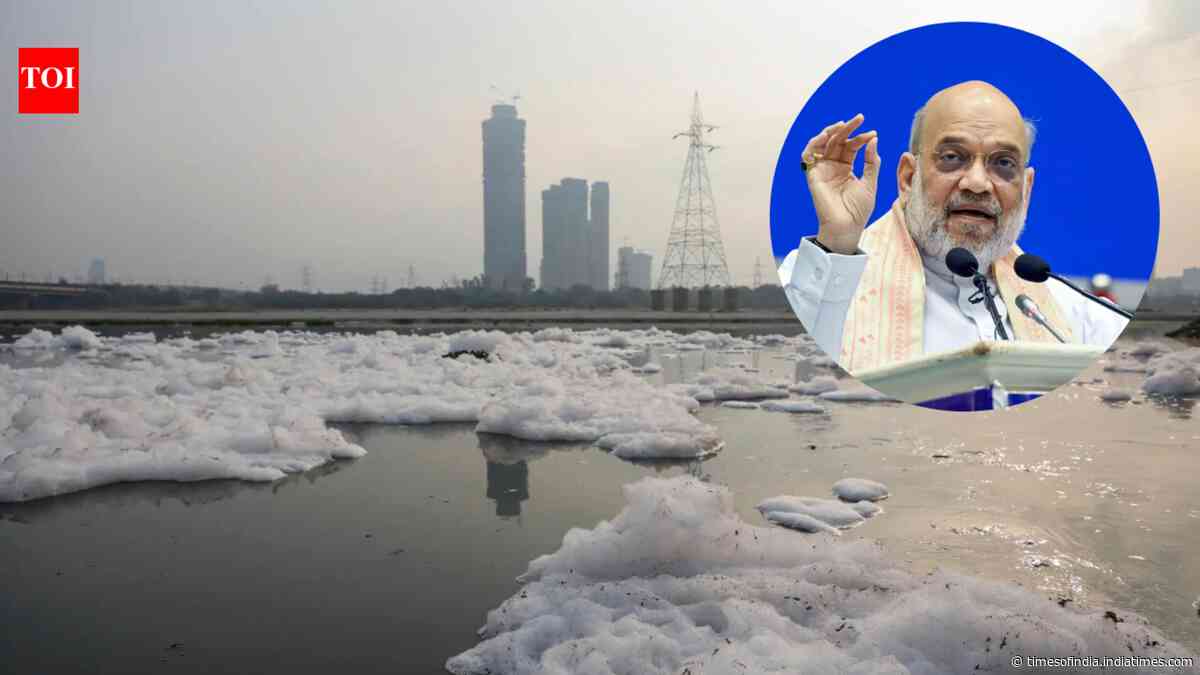 Yamuna clean-up mandate: Amit Shah orders 20-day review cycle, 59 new STPs to be installed