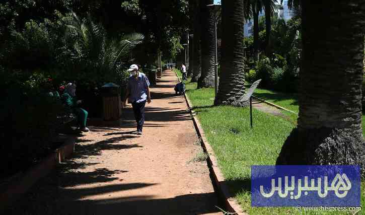 الأرصاد تتوقع موجة حر وزخات رعدية