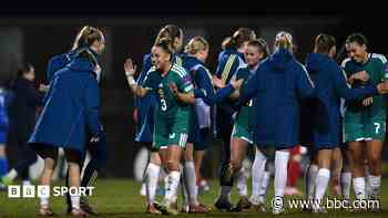 Fresh faces to managerial mayhem - NI's qualifying campaign