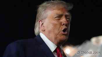 Trump shares 'West Wing' clip dismissing 'proportional response' after strikes on Iran