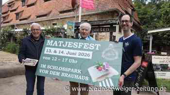Fallersleber Schlosspark wird zur nordischen Fisch- und Party-Meile