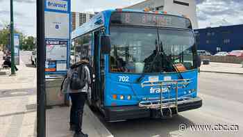 Pets must stay caged on Saskatoon buses, city politicians decide